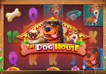 Microgaming - игровой автомат онлайн от Various с RTP 96.95%